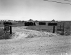 Girl Scout 1962 Senior Roundup