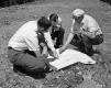 Highway Planners at Work