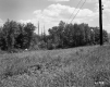Forest and Field