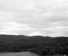 Forested Hills and Mountains