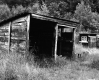 Barn and Cabin