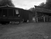 Rustic Cabin and Shed