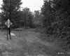 Forest View