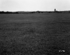 Farm Fields, La Farmstead