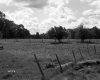Fenced Pasture, Sibley Farmstead
