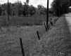 Ingham Farmstead