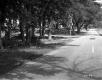 Ingham House through Trees