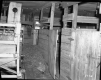 Stable Interior, Casey Farmstead