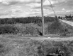 Fields on Rural Road