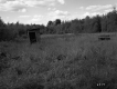 Shed in Field