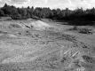 Sand Dunes and Forest
