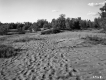 Footprints through Sand