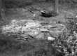 Sawdust and Scraps of Wood