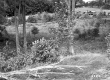 Truck on Rural Road
