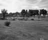Houses and Cabins
