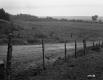 Begnoche Property, Farm Fields