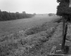 Begnoche Property, Forest and Farm Fields