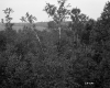 Begnoche Property, Forest and Farm Fields