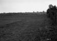 Beaulieu Property, Farm Fields