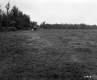 Beaulieu Property, Farm Fields