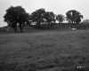 Beaulieu Property, Farm Fields