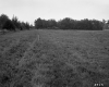 Beaulieu Property, Farm Fields