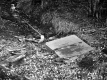 Waite Property, Spring