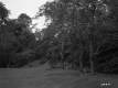 Sears Property, Forest View