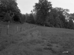 Sears Property, Farm Fields