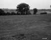 Fresn Property, Farm Fields  