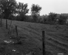 Fresn Property, Farm Fields