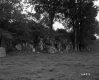 Fresn Property, Meadow and Rocky Outcrops