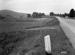 Thompson Property, Farm Fields