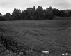 Thompson Property, Farm Fields