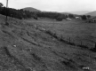 Thompson Property, Farm Fields