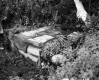 Thompson Property, Spring