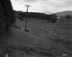 Thompson Property, Farm Fields