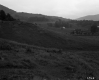 Thompson Property, Farm Fields