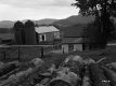 Thompson House and Barns