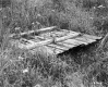 Thompson Property, Spring