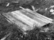 Thompson Property, Spring