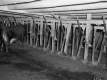 Westall Property, Barn Interior