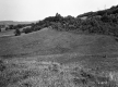 Westall Property, Farm Fields
