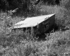 Westall Property, Spring