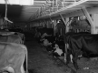 Westall Property, Barn Interior