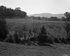 Stevens Property, Farm Fields