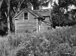Stevens House