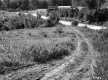 Stevens Property, Barns and Farm Fields