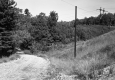 Stevens Property, Forested Hills