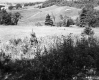 Stevens Property, Farm Fields